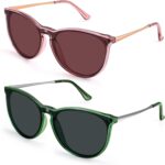 Oversized Trendy Sunglasses for Women, 100% UV Protection, Round Retro Sunglasses